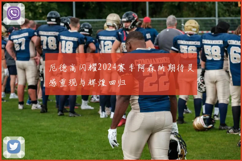 厄德高闪耀2024赛季阿森纳期待灵感重现与辉煌回归