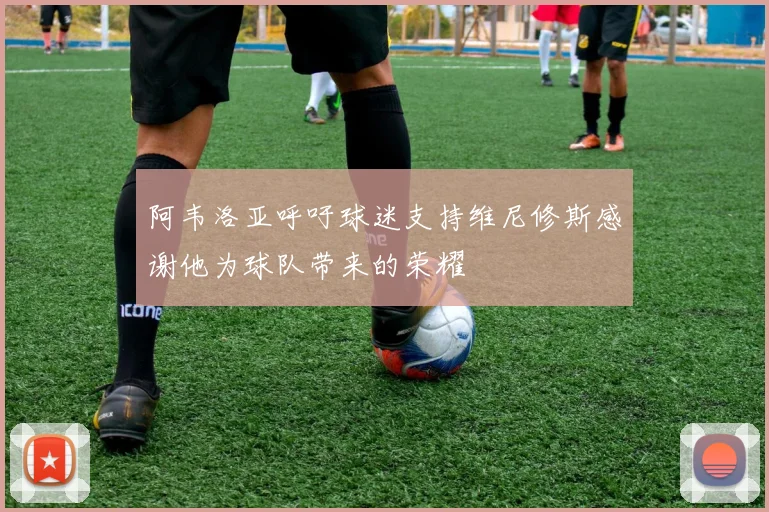 阿韦洛亚呼吁球迷支持维尼修斯感谢他为球队带来的荣耀