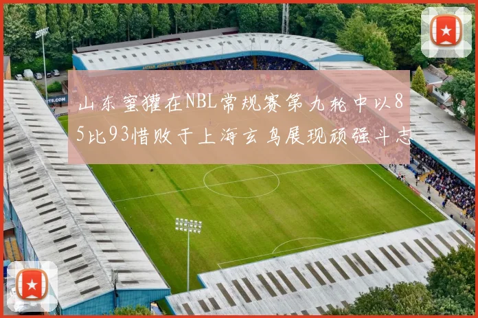 山东蜜獾在NBL常规赛第九轮中以85比93惜败于上海玄鸟展现顽强斗志